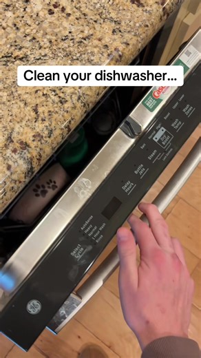 Effective Dishwasher Cleaning Tips