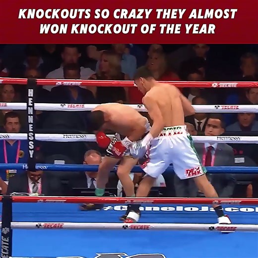 Knockouts So Crazy They Almost Won Knockout of the Year 😱 | Bako RX