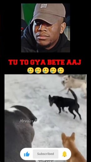 try not to laugh part56 #laugher #memes #laugh #funny #comedy #trynottolaugh #shortsfeed #shorts