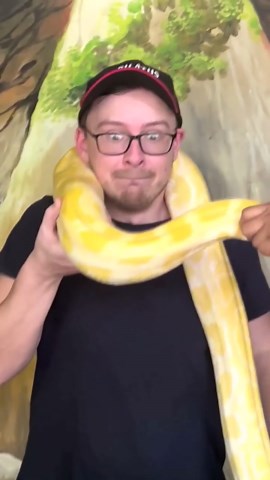 In-demand remote careers with no degree or experience