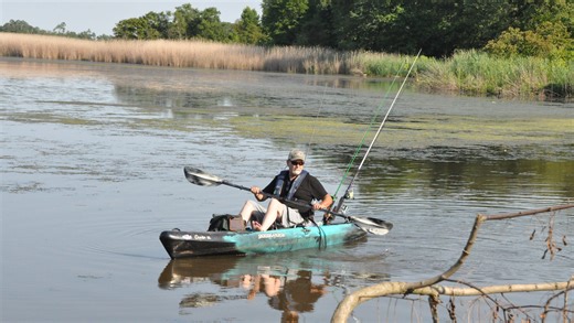 The best places to kayak in Delaware: Your ultimate summer guide