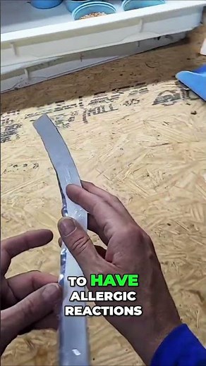 Shellfish Allergy? You Might Be Allergic to Insects Too!