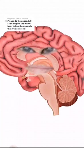 Reply to @not_v.788.v $11k later and you're appendix free #innermonologue #appendix #skit