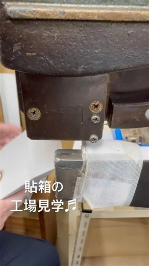 #貼箱の工場見学#工場見学#貼箱#チップボール止め#針金止め#針金#製造業#神戸#橋本パッケ#asmr#kobe#giftbox