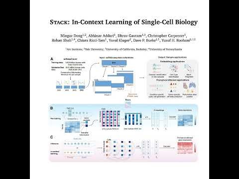 420-Stack: A Context-Aware Model for Single-Cell Analysis