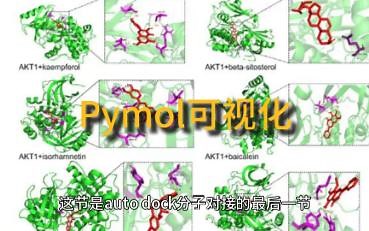 Autodock分子对接(完)-PyMOL可视化
