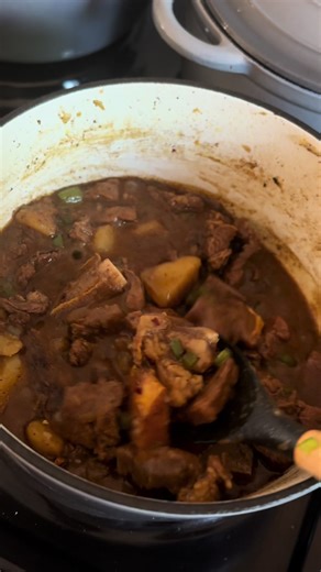 Easy Beef Stew Recipe - TikTok Inspired