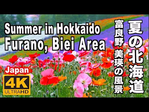 夏の北海道の富良野、美瑛の風景 Summer scenery in Furano, Biei, Hokkaido 北海道観光 旅行 富良野観光 ファーム富田 四季彩の丘 ラベンダー畑 花の名所