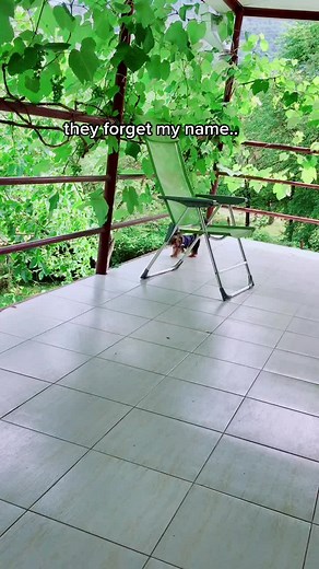 skipis nicknames🥰🐶#Skipi💙 #mylove💙 #foryou💙 #mrskipi #foryou🐶🐾