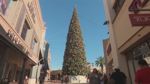 California outlet mall says it has the tallest fresh-cut tree of 2025