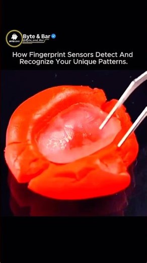 Fingerprint Sensors Explained: The Science Behind Biometric Security