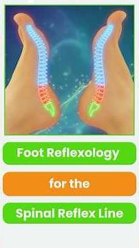 Foot Reflexology for the Spinal Reflex Line