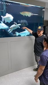 702K views · 13K reactions | Hindi lang aso ang hilig! Rare exotic fishes pa! #superorawdogfood #pangmalakasansupero | Supero Dog Farm | Facebook