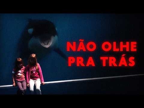 The Most Bizarre Animal in the Sea