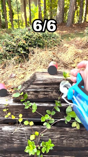 ZipString ® on Instagram: "Can ZipString Aracna live up to the challenge?! This physics-defying toy is as awesome as it looks! ⚡ With LIMITED inventory, now’s the time to claim yours on Kickstarter before they’re gone. Check out the link in our bio to get yours! #zipstring #aracna #kickstarter #kickstartercampaign #tricks"