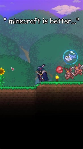 Exploring Peak Edits in Terraria and Minecraft