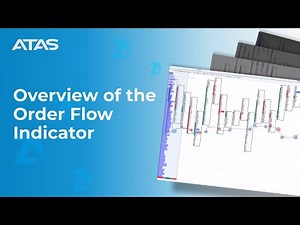 How to Set Up the Order Flow Indicator