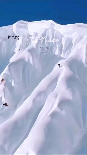 582K views · 10K reactions | Ice world 流 snow ❄️️ #snow #snowwhite...