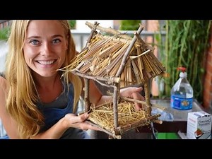 How to Make a Stunning Bird House with Cardboard | Easy DIY Feeder Idea