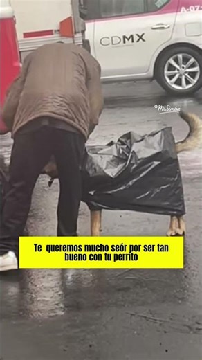 Cuando realmente quieres a tu perrito 🥰#animalitos #mascotas