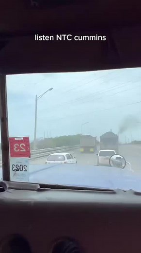 #🇯🇲🇯🇲🇯🇲🇯🇲🇯🇲🇯🇲🇯🇲 #fyppppppppppppppppppppppp #fyp