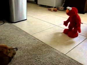 Dog vs Elmo