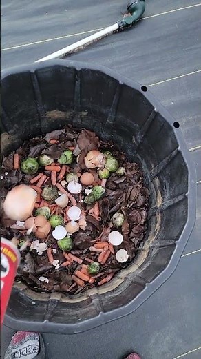 HOW TO USE EGG SHELLS IN YOUR GARDEN #composting #gardeningtips