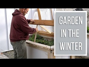 How to Build a Cold Frame to Grow Vegetables in the Winter