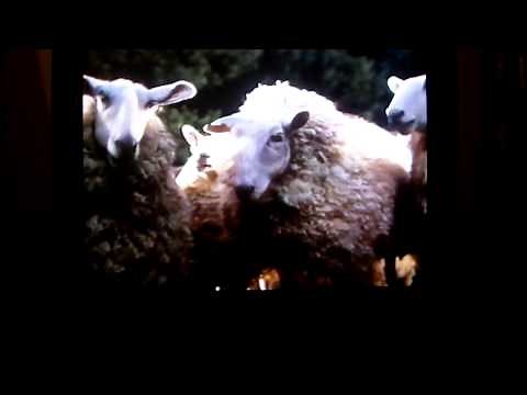 Opening to Balto (1995) VHS