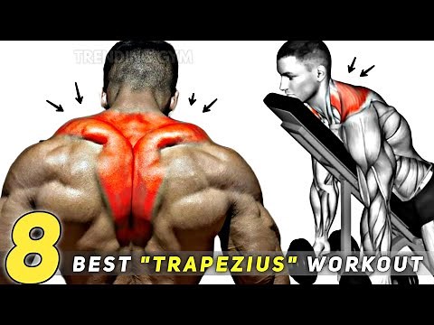 Do This Trapezius Workout - 8 Best Traps Exercises Routine