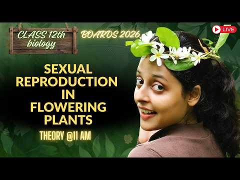 Sexual Reproduction in Flowering Plants One Shot Revision 🔥 Class 12 Biology Board Exam 2026