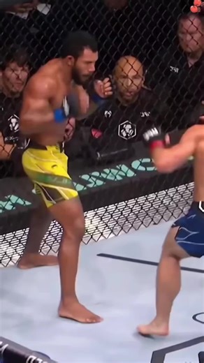 UFC #mma #boxing🥊 #fouyou #sports #Fight | boxing edit