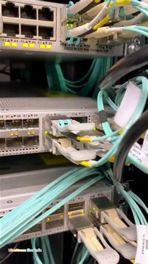 Behind the Scenes of Telecom Field Work 🔧 No One Shows This!