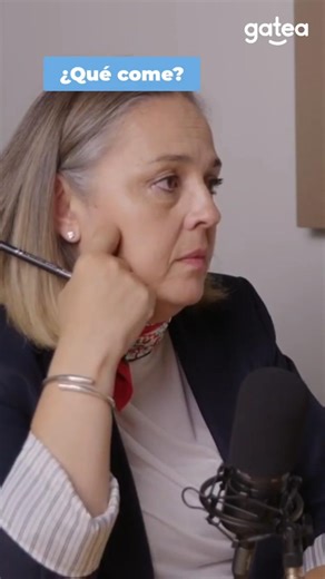 ¿Qué come tu hijo?" El reto del cuestionario de alimentación. 🥦📝 Alimentación y Autismo