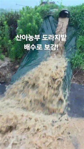 산아농부 도라지밭 배수로 보강작업 #산아농부