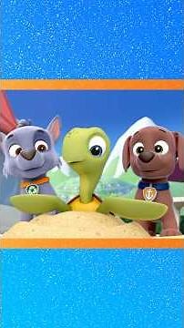 Rescuing baby sea turtles with PAW Patrol! 🐢 | Nick Jr. Cyrillic