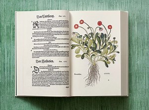 Potent plants! Dive into a world of beautiful botany and explore the history of plant medicine with over 500 extraordinary illustrations in this beautifully produced new book. | TASCHEN
