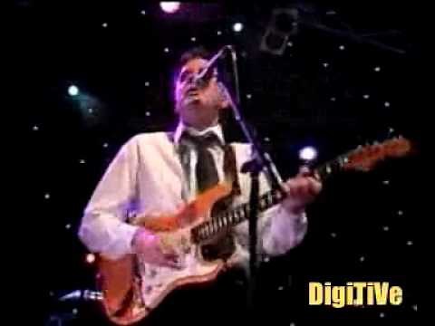 The Hollies Live in Concert Part 2