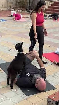 Goat Yoga at La Villita