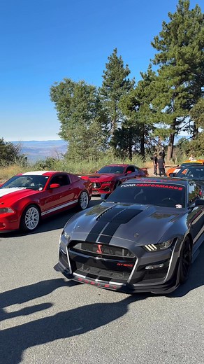 42K views · 2.3K reactions | Picture time PartnersRims...