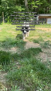 9.2K views · 139 reactions | **ADOPTED** Lexa the Landseer deserves the best home where she will never be neglected again... pawsafe.org for more info | PawSafe Animal Rescue | Facebook