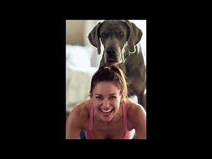 Dog Becomes Yoga Coach 🐶 Funny Pet Interrupts #viral #love #foryou #shorts #shortvideo