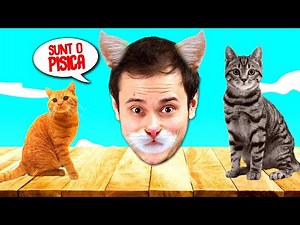 VIATA unei PISICI! Ce face EA?