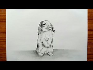 How to draw rabbit easy and step by step for kids and beginner's | rabbit pencil sketch