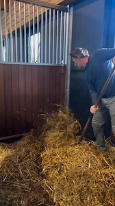 How Luxury Horse Stables Use Hidden Vacuum Systems for Effortless Cleaning? #reelsvideo #reelsfb | Ayush XYZ