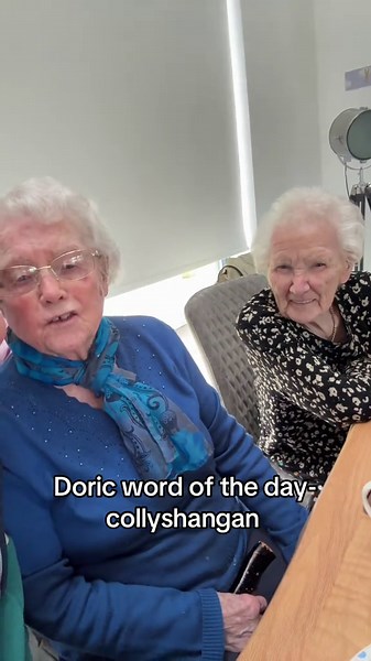 Doric word of the day for these two is collyshangan unsure if it’s doric 🤣🤣 #peterhead #aberdeenshire #scotland #doric #fyp