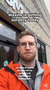 114K views · 8.7K reactions | Maxine is getting surgery today 洛 | Maxine the Fluffy Corgi | Facebook