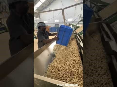 Making of Matchbox in Mega Factory #matchbox