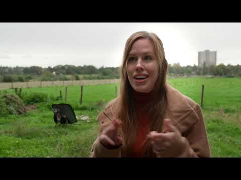 What is the role of research in transformative change?