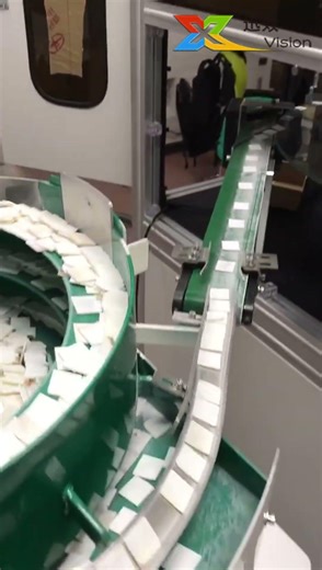 Square seashell sheet optical sorting equipment #machinevision #automaticinspection #ccdinspection